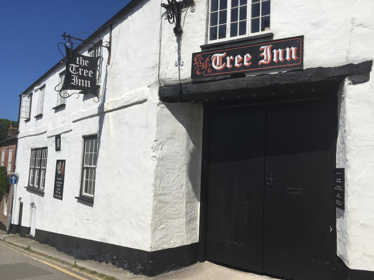 The Tree Inn Bude Exterior photo